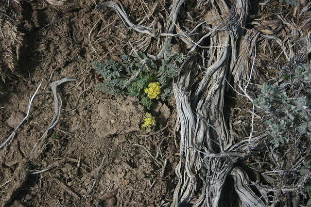 IMG 5359