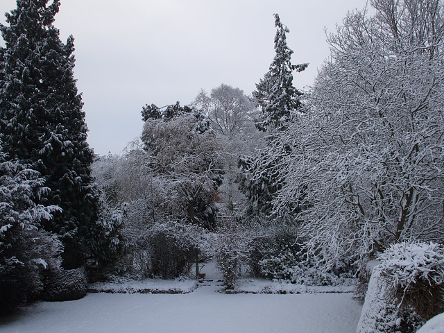 Fulbourn garden 2010-12-19