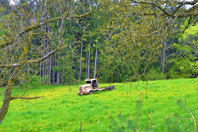 Alte Lastwagen