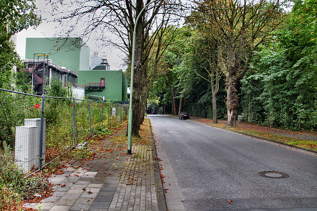 Kastanienallee (Wanne-Eickel) / 26.08.2017