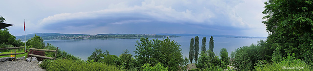 Am Untersee bei Steckborn/Schweiz