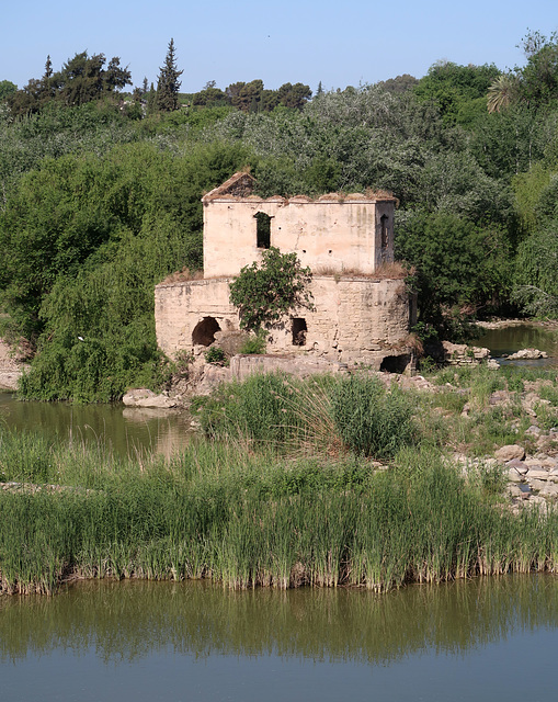 Molino de Pápalo o de Don Tello