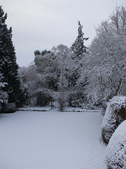 Fulbourn garden 2010-12-19