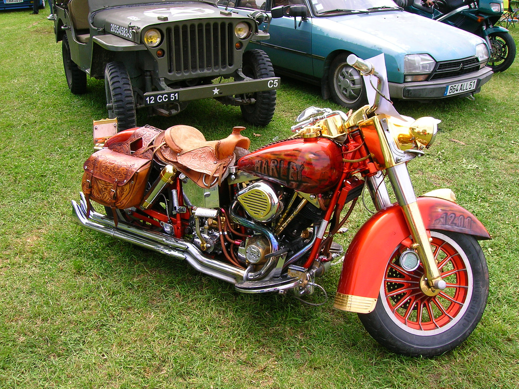 harley cowboy (002)