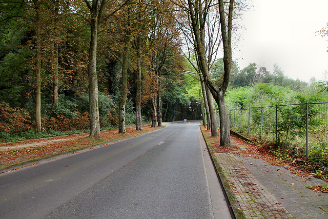 Kastanienallee (Wanne-Eickel) / 26.08.2017