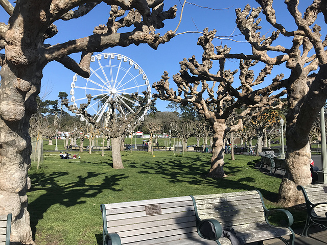 Every day is a happy bench day :-)