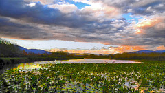 World Water Day 2025, Lake Hula, Israel