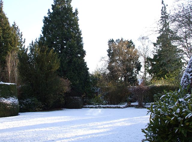 Fulbourn garden 2010-12-17 018