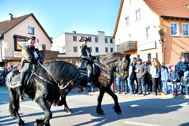 Pferdemarkt in Gaildorf 2017