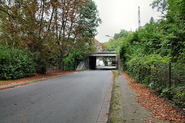 Am Böckenbusch (Wanne-Eickel) / 26.08.2017