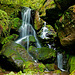 Lichtenhainer Wasserfall - The Lichtenhain waterfall - PiP