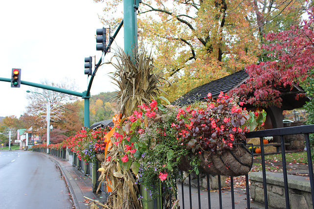 HAPPY FENCE FRIDAY everyone  :))  (had to go back into the archives :)   )