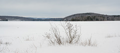 Snow Bound Horizon - Quabbin Park