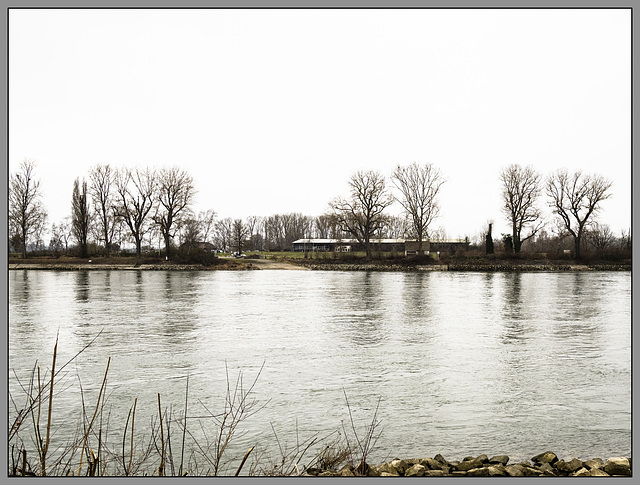 Der Rhein bei Brühl