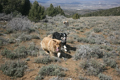 IMG 5363