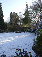 Fulbourn garden 2010-12-17 017