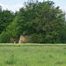 cabane des champs