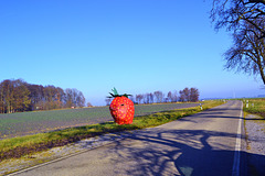 Big Strawberry  -)