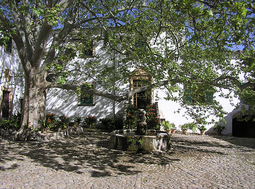 P4080065 - Kopie