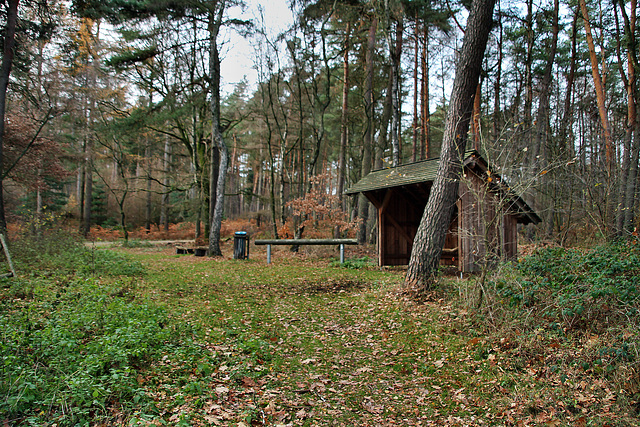 Rastplatz am Flaesheimer Meilerweg (Haard, Oer-Erkenschwick) / 1.12.2018