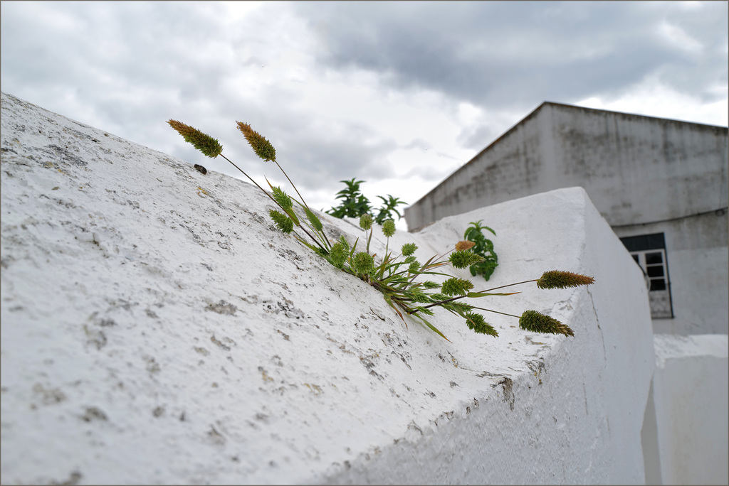 Moura, Alentejo, HWW