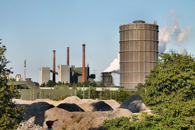 Blick zur Kokerei Prosper (Bottrop-Batenbrock) / 24.06.2023