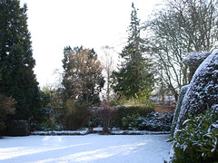 Fulbourn garden 2010-12-17 013