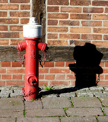 Scharfer Schatten in Schnackenburg