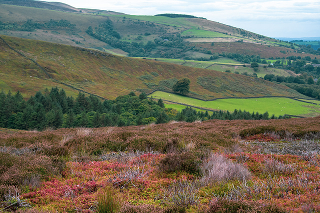 Whiteley Nab