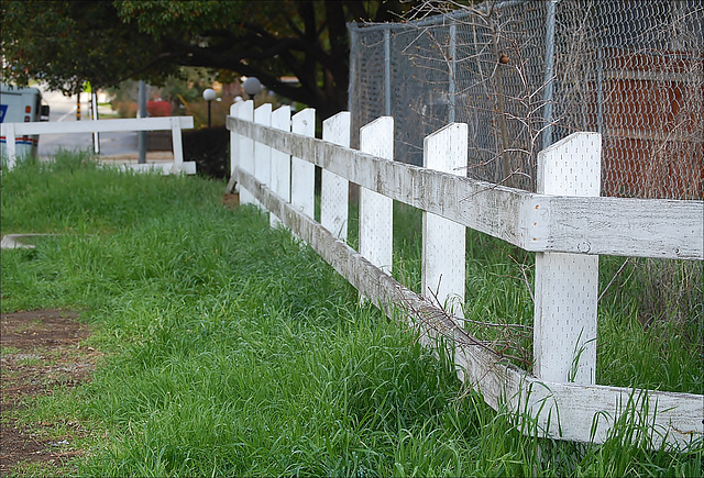 Fence