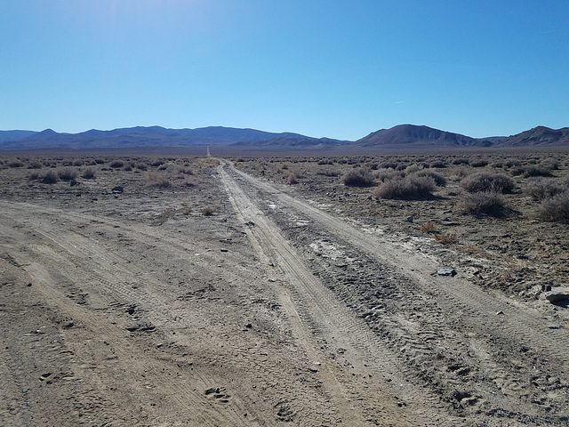 Road to Alvin's Arch