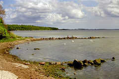 Ostsee bei Lauterbach
