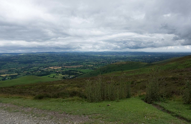 From a walk on Moel Famau4