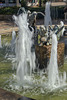 IMG 4284