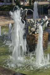 IMG 4284 IMG 4284