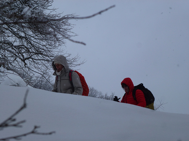 20150131 Raquettes Vercors La Goulandiere (10) al