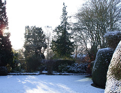 Fulbourn garden 2010-12-17 009