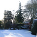Fulbourn garden 2010-12-17 009