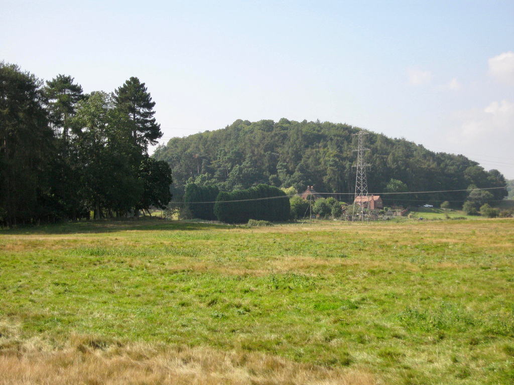 Looking towards The Plantation from near Seedgreen Park Pools