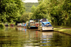 Along the Kennet & Avon Canal.