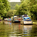 Along the Kennet & Avon Canal.