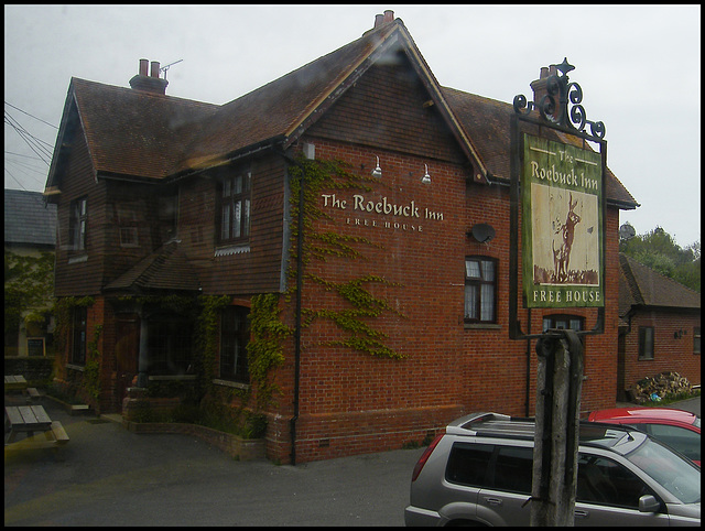 Roebuck at Sixpenny Handley