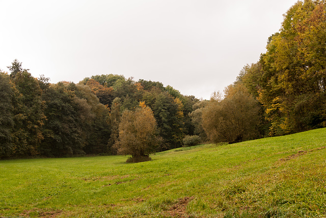 Herbst bei Oberpreuschwitz