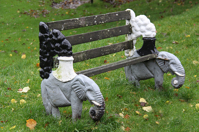 Odd bench at Darran Park