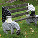 Odd bench at Darran Park