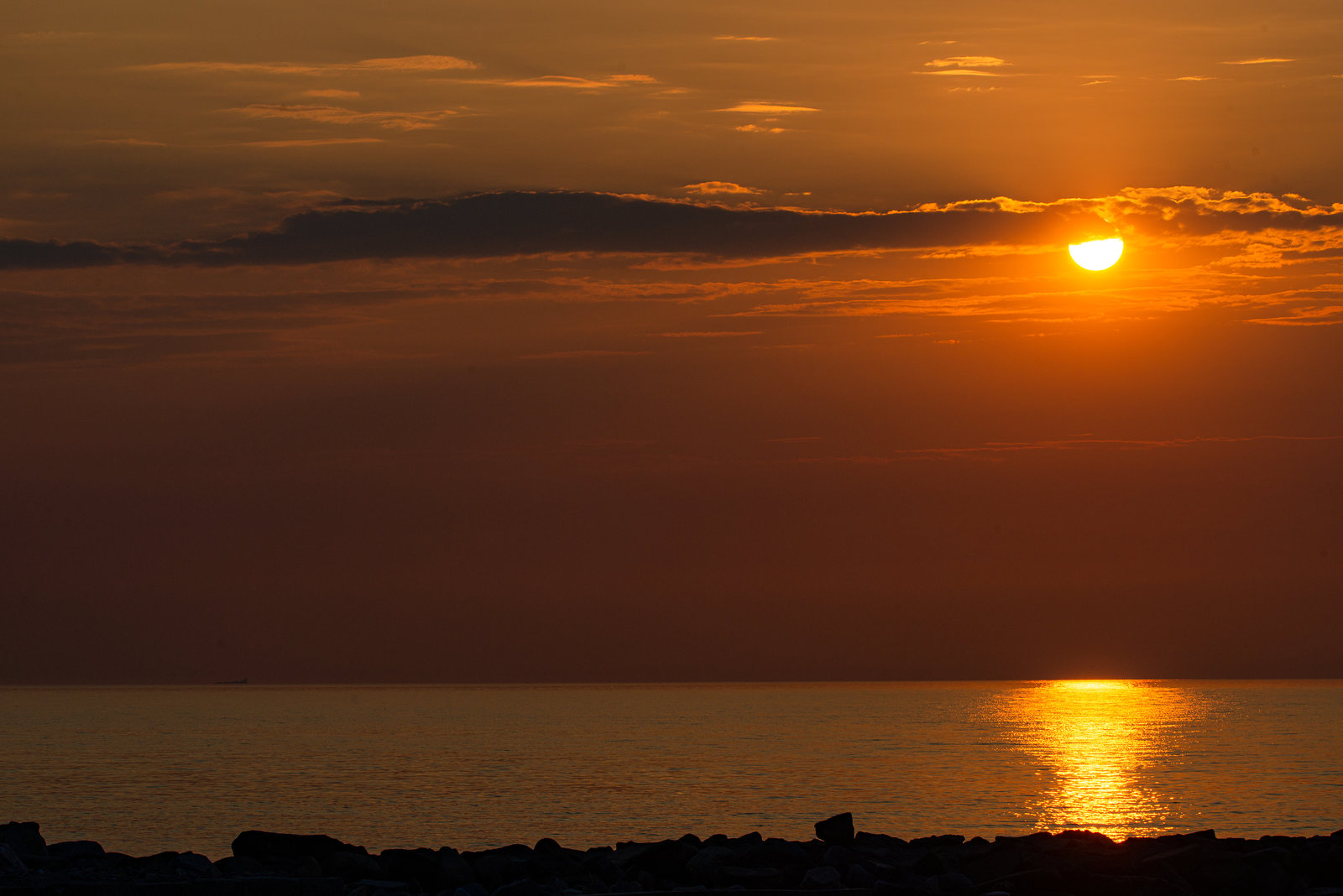 20220816- DSC8818