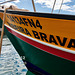 Wale watching auf der Ribeira Brava, Madeira