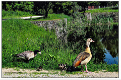 Großfamilie