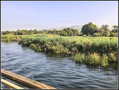 Orilla del Nilo Orilla del Nilo