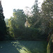 Fulbourn garden 2010-11-15 006
